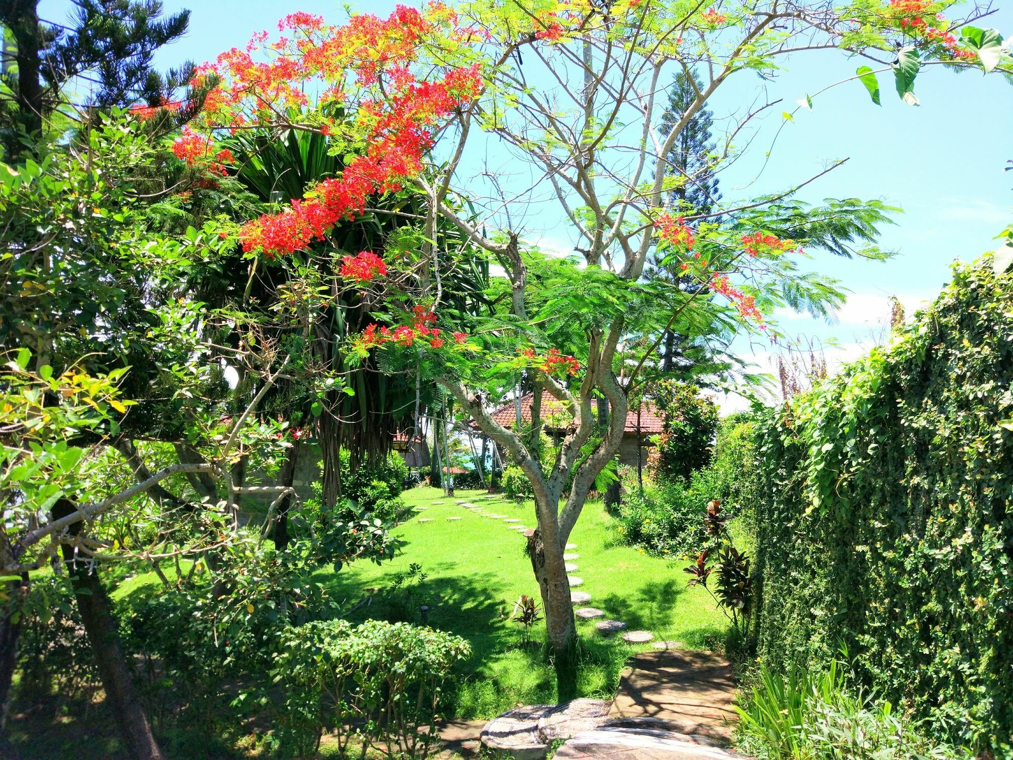 Gajah Mina Beach Resort Selemadeg  Luaran gambar